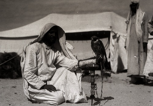 بادیه نشینان عربستان